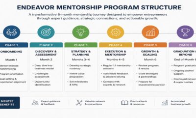 Endeavor mentorship program structure