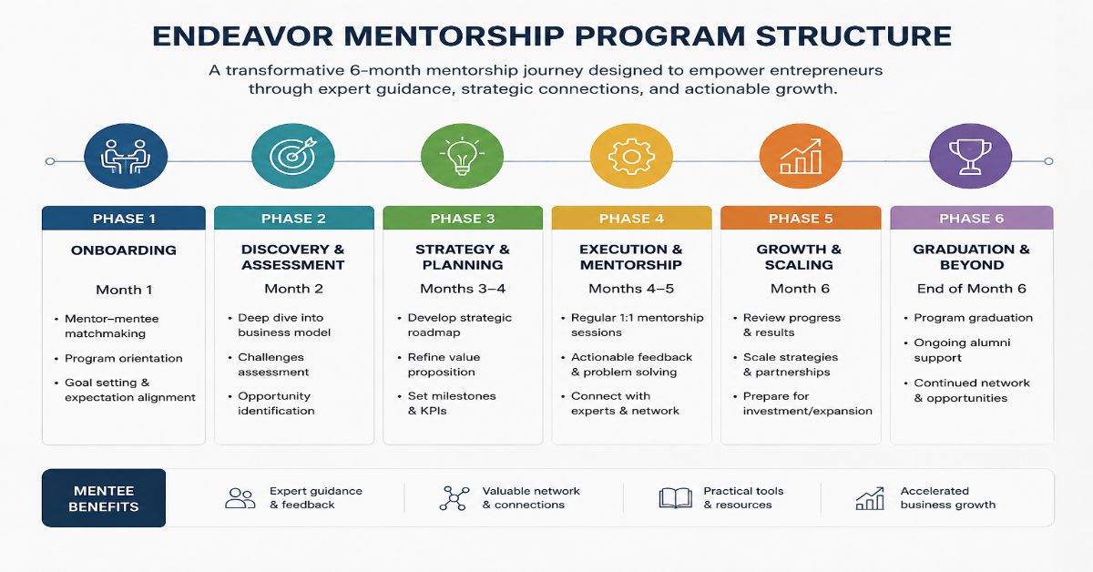 Endeavor mentorship program structure