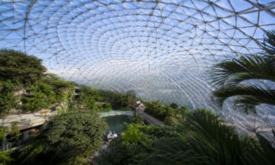 What is a biodome