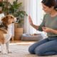 How to Stop Dog Barking